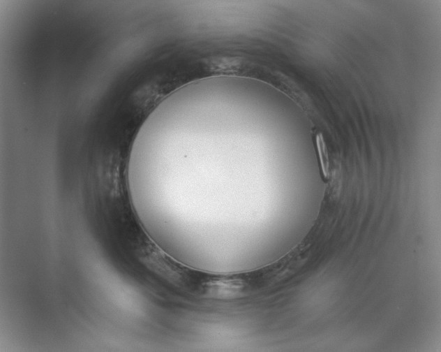 X0000073830525200608311912