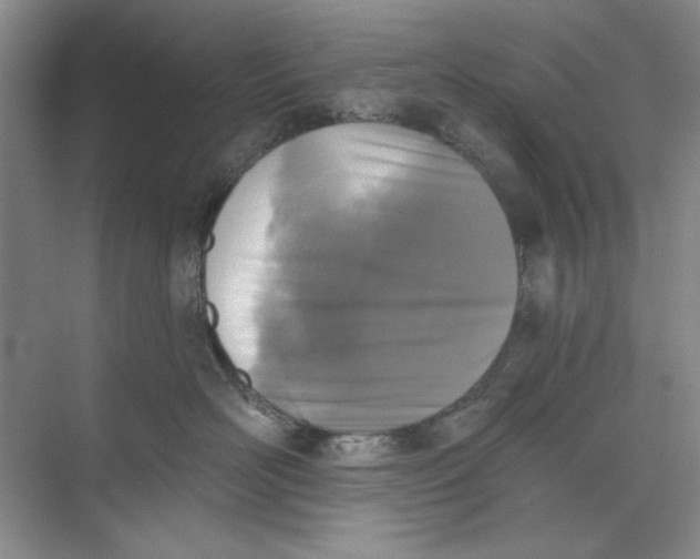 X0000073830526200608311912