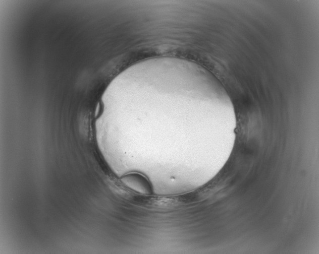 X0000073830527200608311912