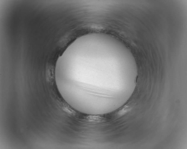 X0000073830528200608311912