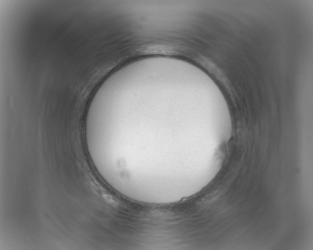 X0000073830529200608311911