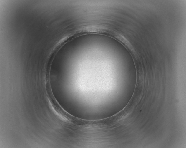 X0000073830530200608311911