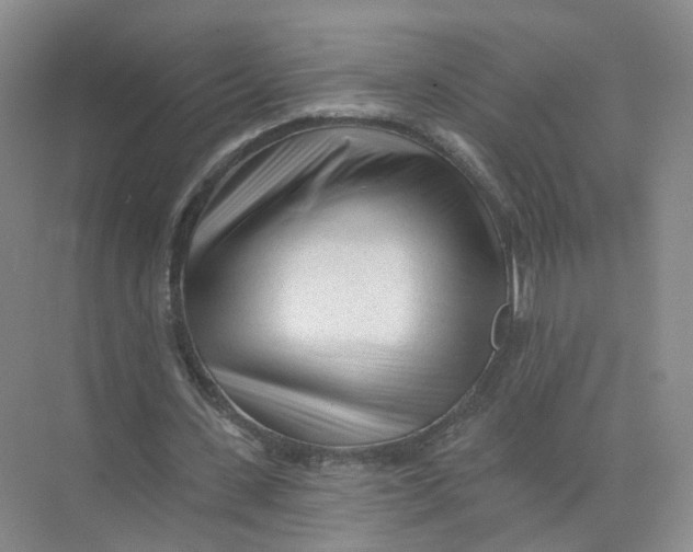 X0000073830531200608311911