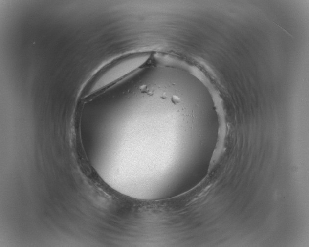 X0000073830532200608311911