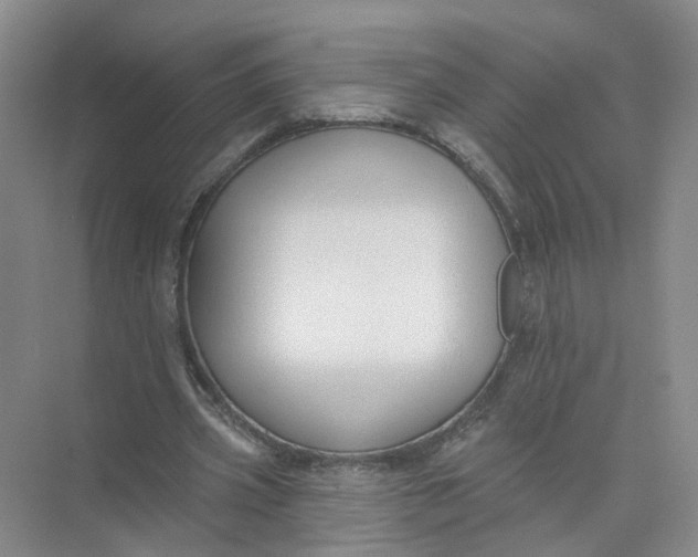 X0000073830533200608311911