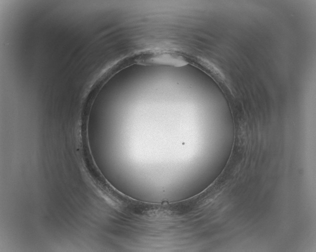 X0000073830535200608311911