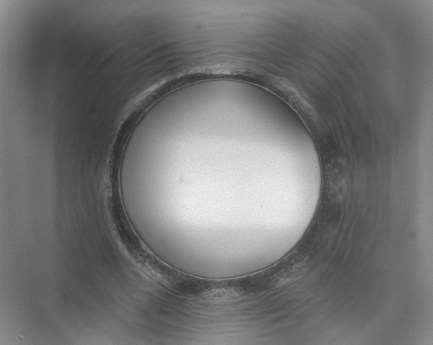 X0000073830536200608311911