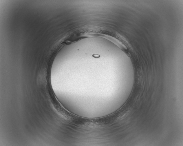 X0000073830538200608311911