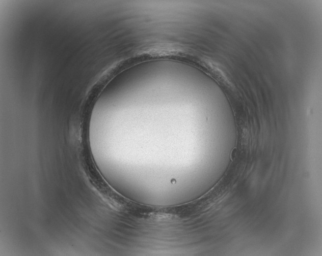 X0000073830539200608311911