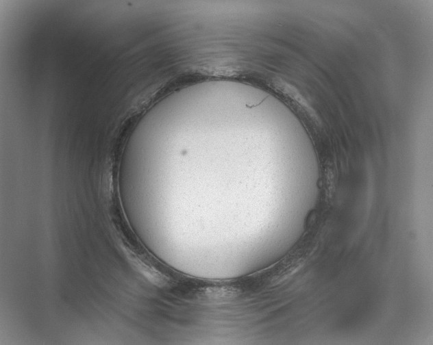 X0000073830541200608311911