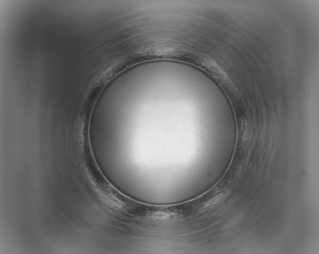 X0000073830542200608311911