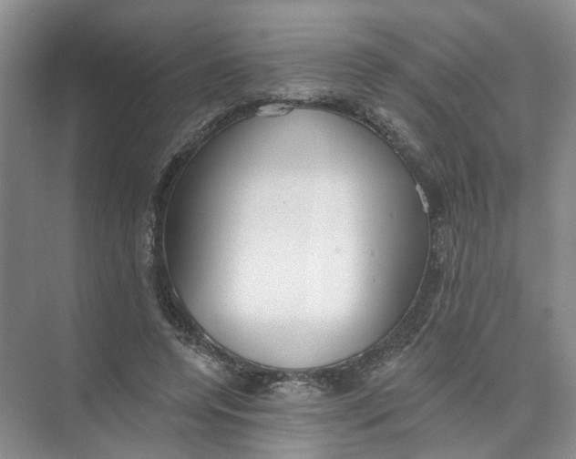 X0000073830544200608311911