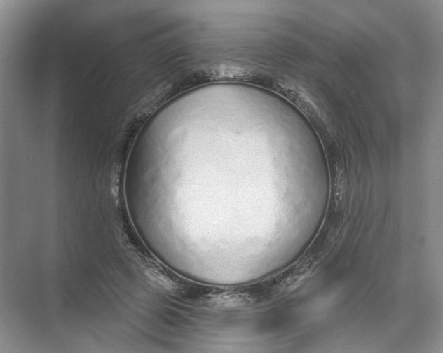 X0000073830545200608311911