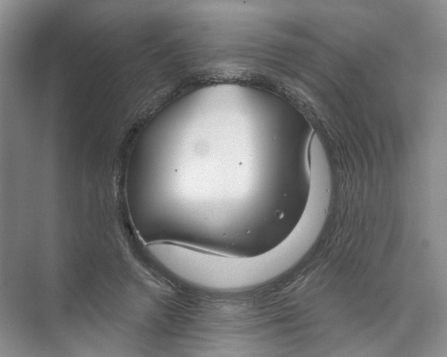 X0000073830546200608311911