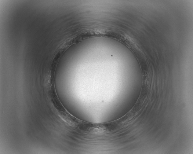 X0000073830548200608311911