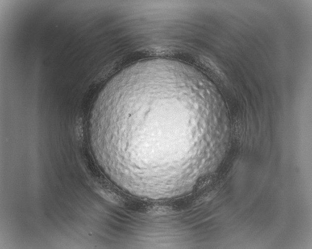 X0000073830549200608311911