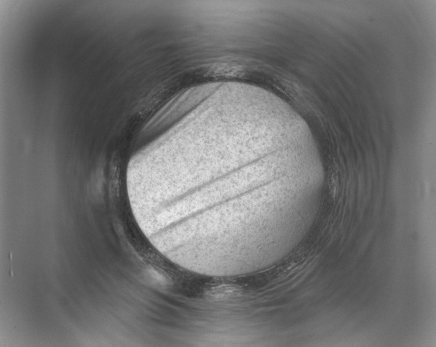 X0000073830551200608311911