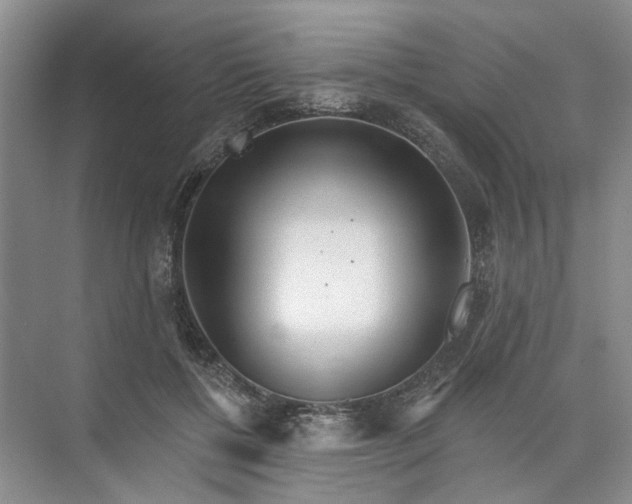 X0000073830552200608311911