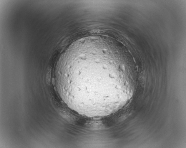 X0000073830554200608311911