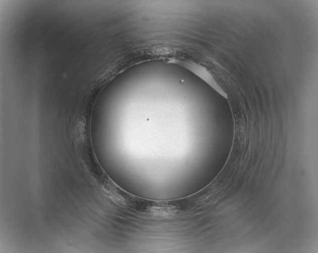 X0000073830556200608311911