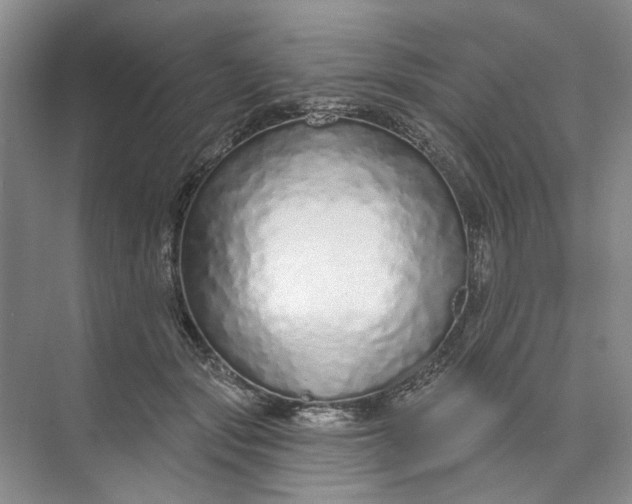 X0000073830557200608311911