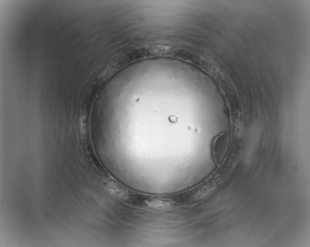 X0000073830561200608311911