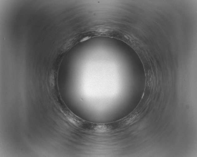 X0000073830562200608311911