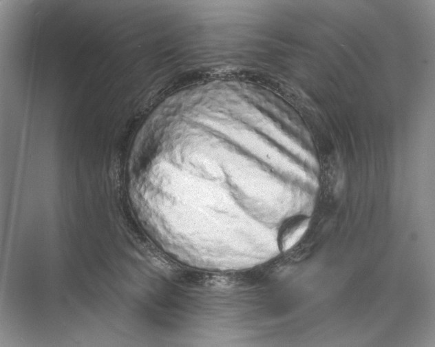 X0000073830565200608311911