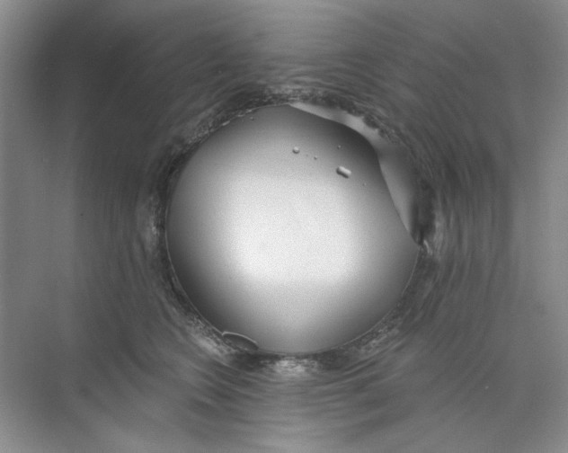 X0000073830566200608311911