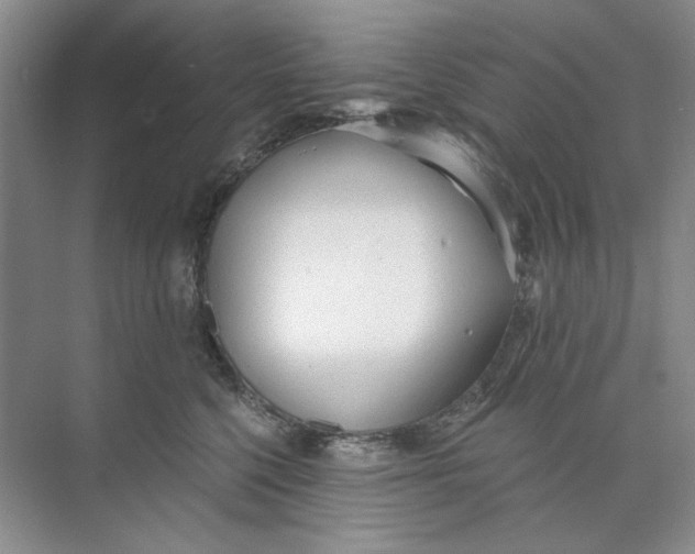 X0000073830568200608311911