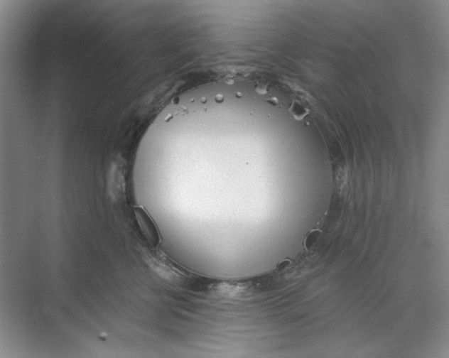 X0000073830570200608311912