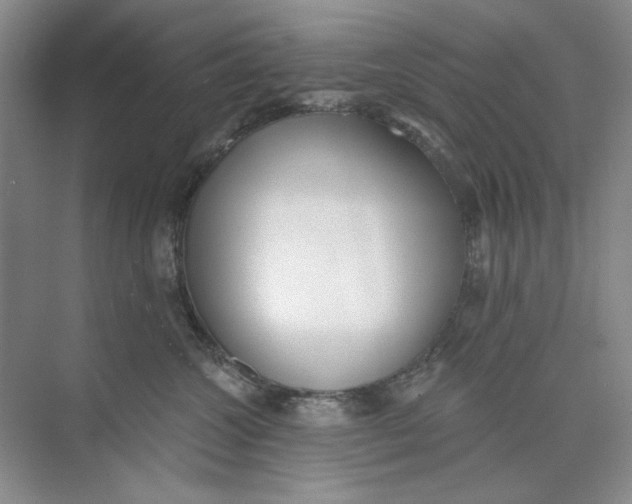 X0000073830572200608311912