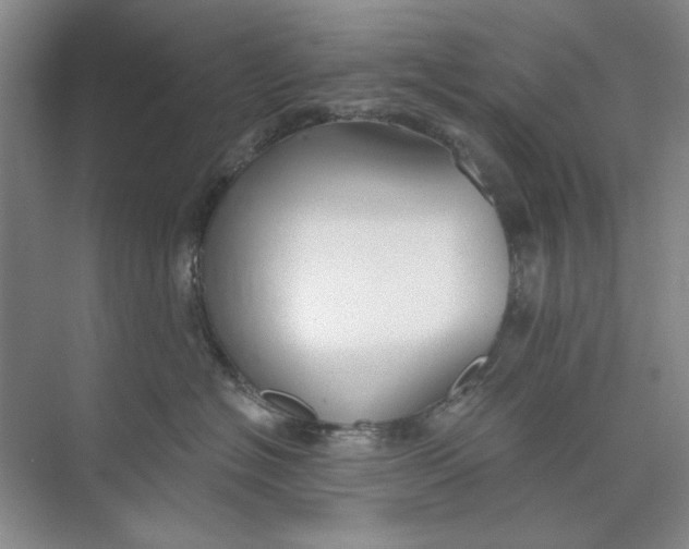 X0000073830574200608311912