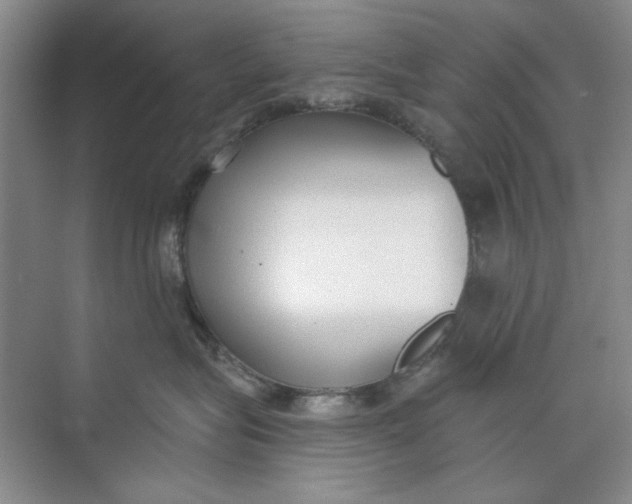 X0000073830575200608311912