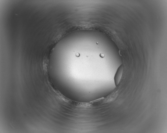 X0000073830576200608311912