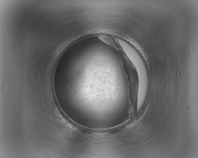 X0000073830577200608311911