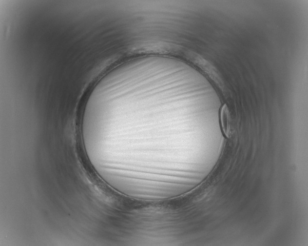 X0000073830578200608311911