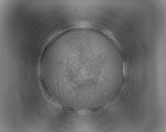 X0000073830579200608311911