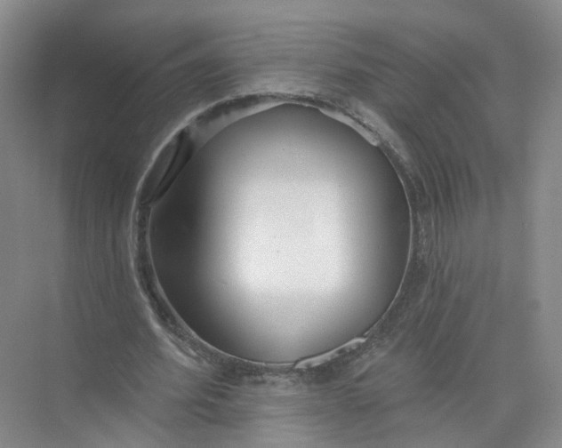 X0000073830580200608311911