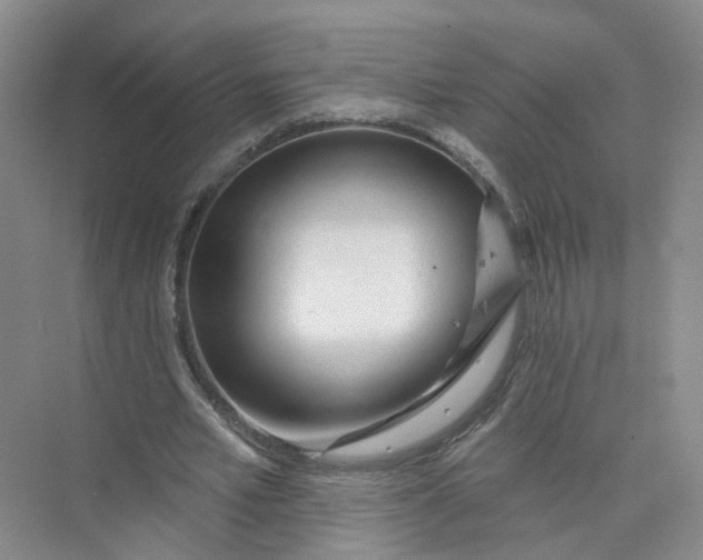 X0000073830581200608311911