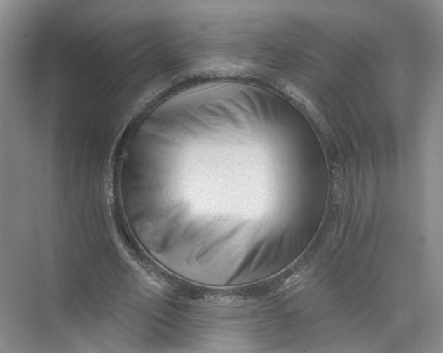 X0000073830582200608311911