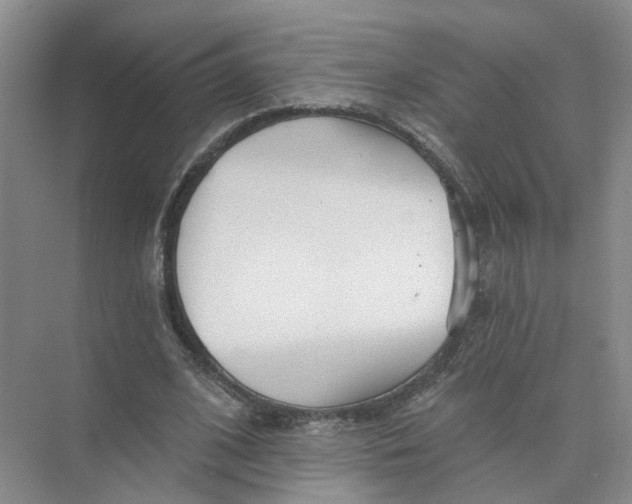 X0000073830584200608311911