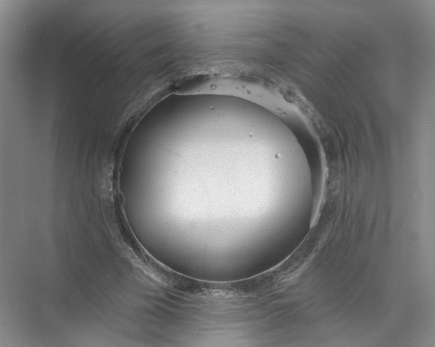 X0000073830585200608311911