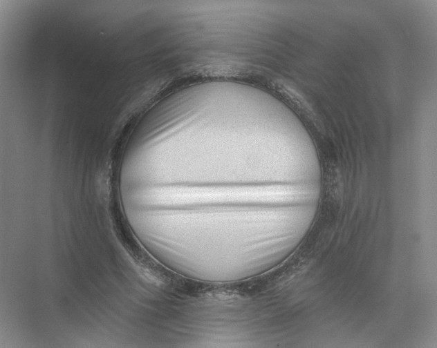 X0000073830586200608311911