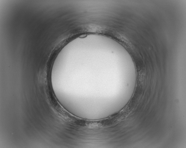 X0000073830587200608311911