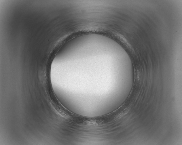 X0000073830588200608311911