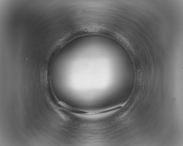 X0000073830589200608311911