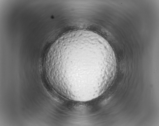 X0000073830594200608311911