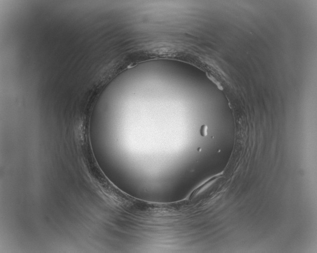 X0000073830597200608311910