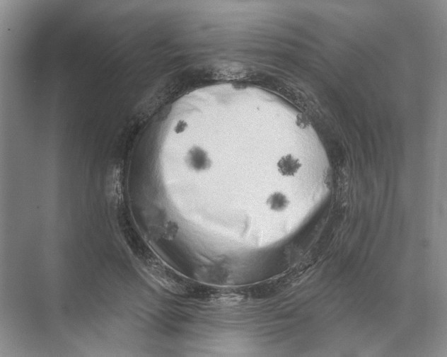 X0000073830598200608311910